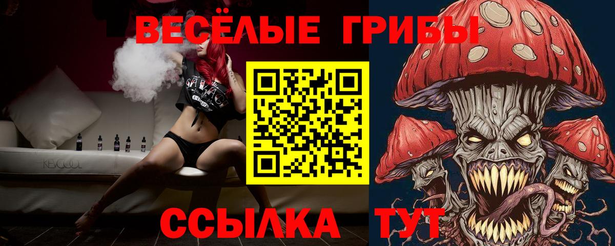 Галлюциногенные грибы прущие грибы  Вход с VPN  Дубна 