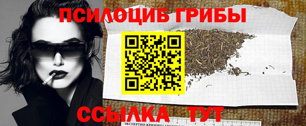 Псилоцибиновые грибы Cubensis Дубна